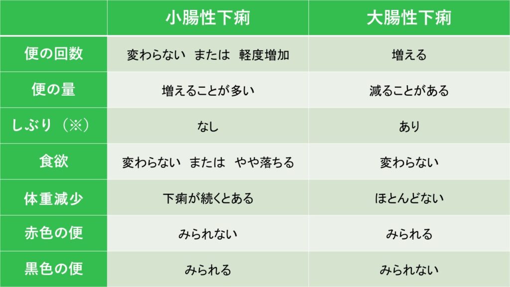 小腸性下痢と大腸性下痢の比較